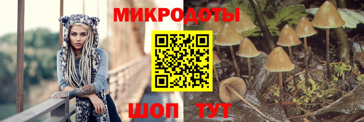 Саранск  Галлюциногенные грибы ЛСД  Галлюциногенные грибы мухоморы  Вход с VPN 